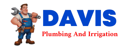 Trusted plumber in RAYLE